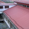 limar-plus